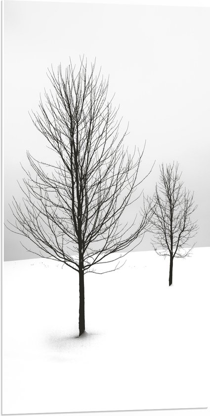 WallClassics - PVC Schuimplaat - Twee Kale Bomen in Sneeuwlandschap - 50x100 cm Foto op PVC Schuimplaat (Met Ophangsysteem)