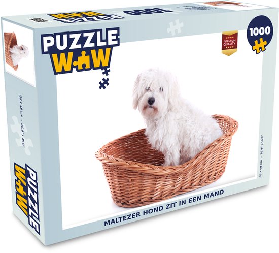 Gevoel Neerduwen wasserette Puzzel Maltezer hond zit in een mand - Legpuzzel - Puzzel 1000 stukjes  volwassenen | bol.com
