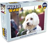 Puzzle Chien maltais mignon - Puzzle - Puzzle 500 pièces