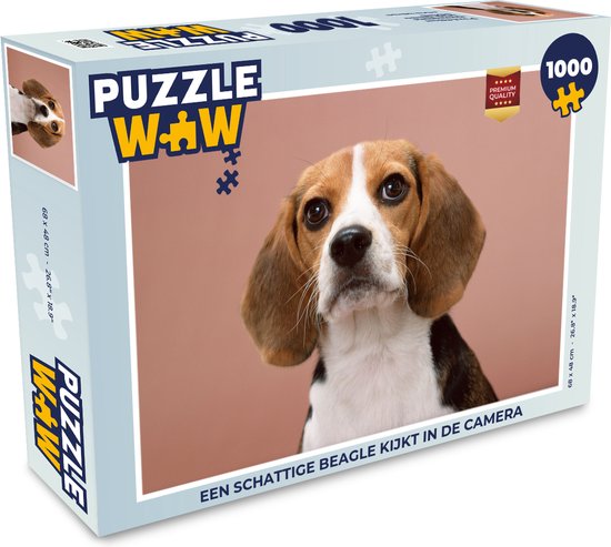 Puzzel Een schattige Beagle kijkt in de camera - Legpuzzel - Puzzel 1000  stukjes... | bol.com
