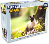 Puzzel Siamese kat tussen de roze bloemen - Legpuzzel - Puzzel 500 stukjes