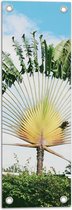 WallClassics - Tuinposter – Foto van Reizigersboom  - 20x60 cm Foto op Tuinposter  (wanddecoratie voor buiten en binnen)