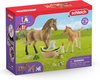 foto van schleich HORSE CLUB Speelfigurenset - Sarah Zorgt voor de Jonge Dieren - Kinderspeelgoed voor Jongens en Meisjes - 5 tot 12 jaar - 9 Onderdelen - 42432