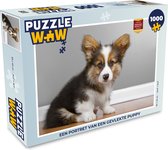 Puzzel Een portret van een gevlekte puppy - Legpuzzel - Puzzel 1000 stukjes volwassenen