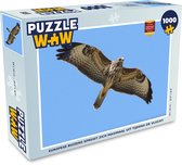 Puzzel Europese buizerd spreidt zich maximaal uit tijdens de vlucht - Legpuzzel - Puzzel 1000 stukjes volwassenen