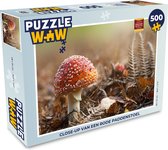 Puzzel Close-up van een rode paddenstoel - Legpuzzel - Puzzel 500 stukjes