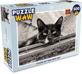 Puzzel Close-up van een kat - Legpuzzel - Puzzel 500 stukjes