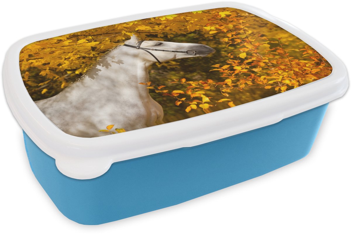 Broodtrommel Blauw - Lunchbox - Brooddoos - Paard - Bladeren - Herfst - 18x12x6 cm - Kinderen - Jongen