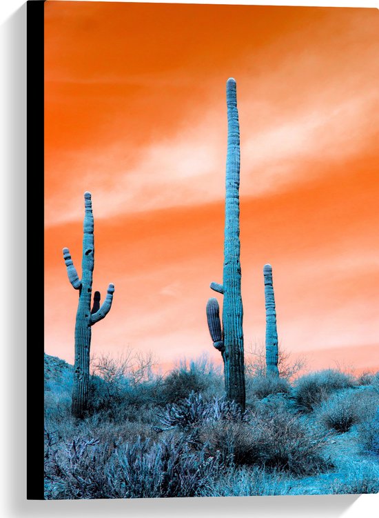 WallClassics - Canvas  - Cactussen in Veld onder Oranje Lucht - 40x60 cm Foto op Canvas Schilderij (Wanddecoratie op Canvas)