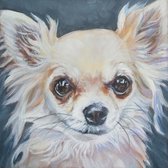 Diamond painting 40x50cm - Chihuahua - ronde steentjes