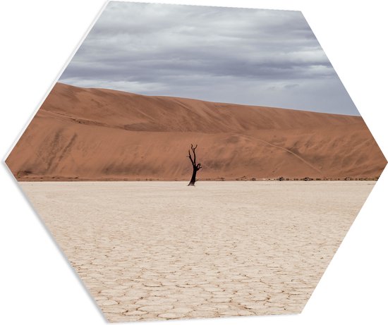 WallClassics - PVC Schuimplaat Hexagon  - Eenzame Boom in de Woestijn - 80x69.6 cm Foto op Hexagon (Met Ophangsysteem)