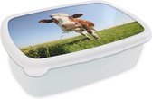 Broodtrommel Wit - Lunchbox - Brooddoos - Koe - Dieren - Bloemen - Gras - 18x12x6 cm - Volwassenen