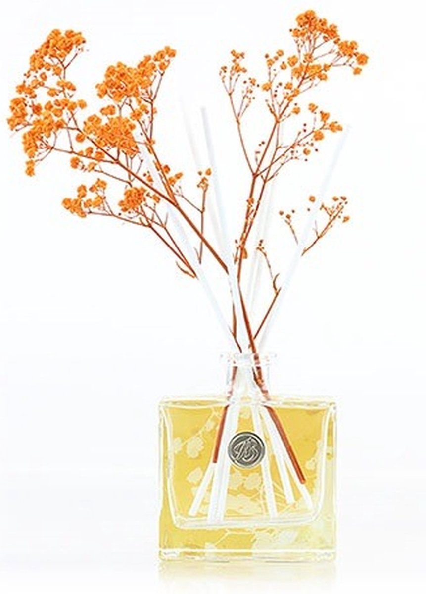Orange Blossom & Mandarin Geurstokje oranje-L6B10,5H28CM