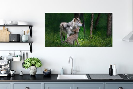 Stickers muraux - Film autocollant - Loup - Bébé - Forêt - 120x60 cm - Film adhésif - Stickers muraux Chambre d'enfant - Papier peint autocollant