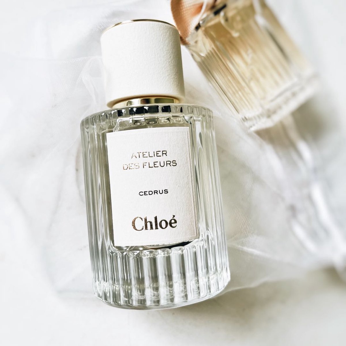 Chloé Atelier des Fleurs Cedrus - 50 ml - eau de parfum spray -  unisexparfum | bol.com