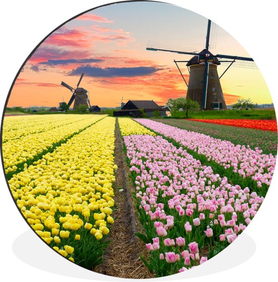 WallCircle - Wandcirkel - Muurcirkel - Windmolen - Tulpen - Bloemen - Nederland - Aluminium - Dibond - ⌀ 30 cm - Binnen en Buiten