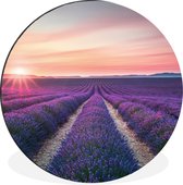 WallCircle - Wandcirkel - Muurcirkel - Lavendel - Paars - Bloemen - Aluminium - Dibond - 90x90 cm - Binnen en Buiten
