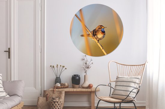 WallCircle - Wall Circle - Wall Circle Indoor - Vogels - Gorgebleue à miroir - Roseaux - 120x120 cm - Décoration murale - Peintures Ronds XXL