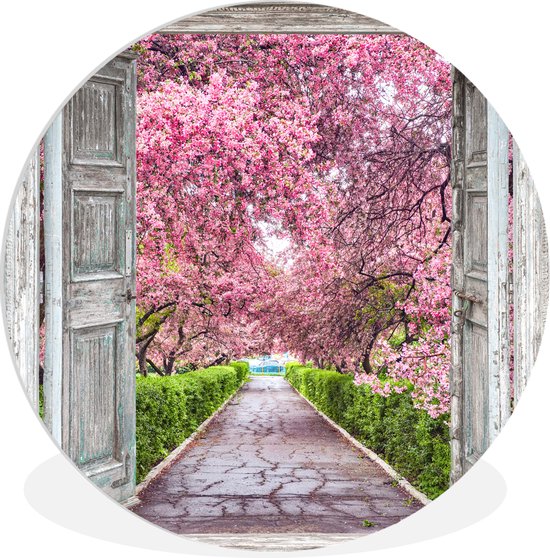 WallCircle - Wall Circle - Wall Circle Indoor - Sakura - See Through - Arbre - Fleur de Cerisier - 60x60 cm - Décoration murale - Peintures Ronds