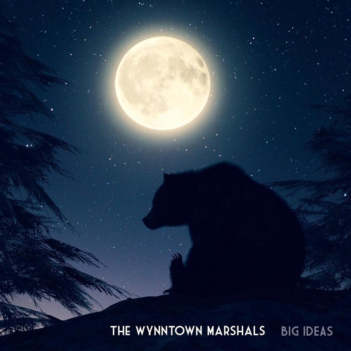 Wynntown Marshals - Big Ideas (LP)