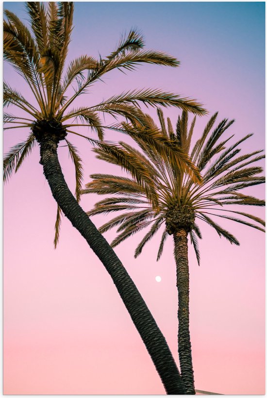 WallClassics - Poster (Mat) - Twee Palmbomen bij Roze-Blauwe Lucht - 100x150 cm Foto op Posterpapier met een Matte look