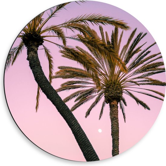 WallClassics - Dibond Muurcirkel - Twee Palmbomen bij Roze-Blauwe Lucht - 50x50 cm Foto op Aluminium Muurcirkel (met ophangsysteem)