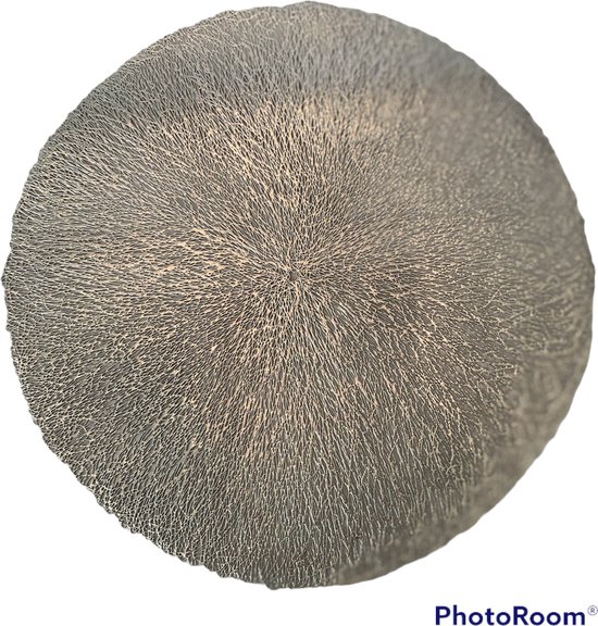 placemats 6 stuks zilver rechthoek