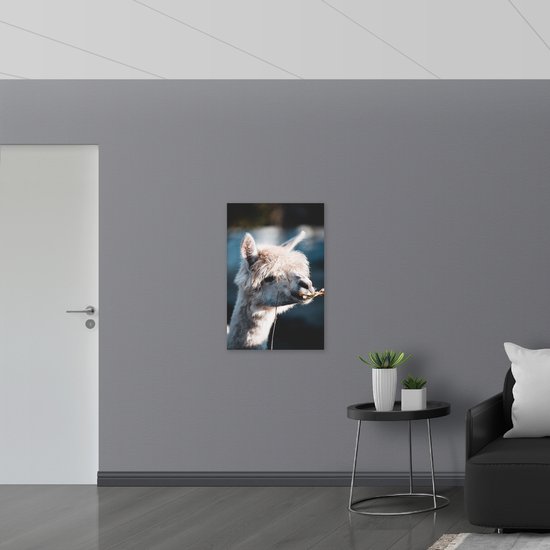 Muursticker - Lama Kauwt op een Blaadje - 60x90 cm Foto op Muursticker