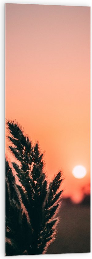 WallClassics - Acrylglas - Takje bij Ondergaande Zon - 40x120 cm Foto op Acrylglas (Wanddecoratie op Acrylaat)