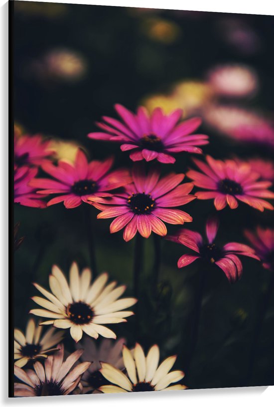 WallClassics - Canvas  - Roze-Witte Bloemen met Takken - 100x150 cm Foto op Canvas Schilderij (Wanddecoratie op Canvas)