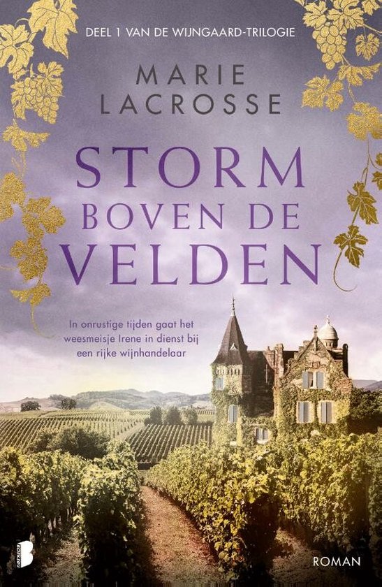 Wijngaard 1 - Storm boven de velden