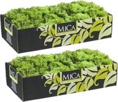 3x pakjes decoratie/hobby mos groen 500 gram - Decoratie materialen bloemstukjes