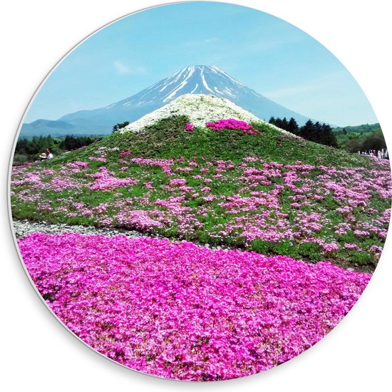 WallClassics - PVC Schuimplaat Muurcirkel - Roze Bloemenveld met Berg in Achtergrond - 30x30 cm Foto op Muurcirkel (met ophangsysteem)