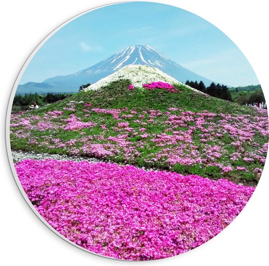 WallClassics - Cercle mural en panneau de mousse PVC - Champ de fleurs roses avec Berg en arrière-plan - Photo 20x20 cm sur cercle mural (avec système de suspension)