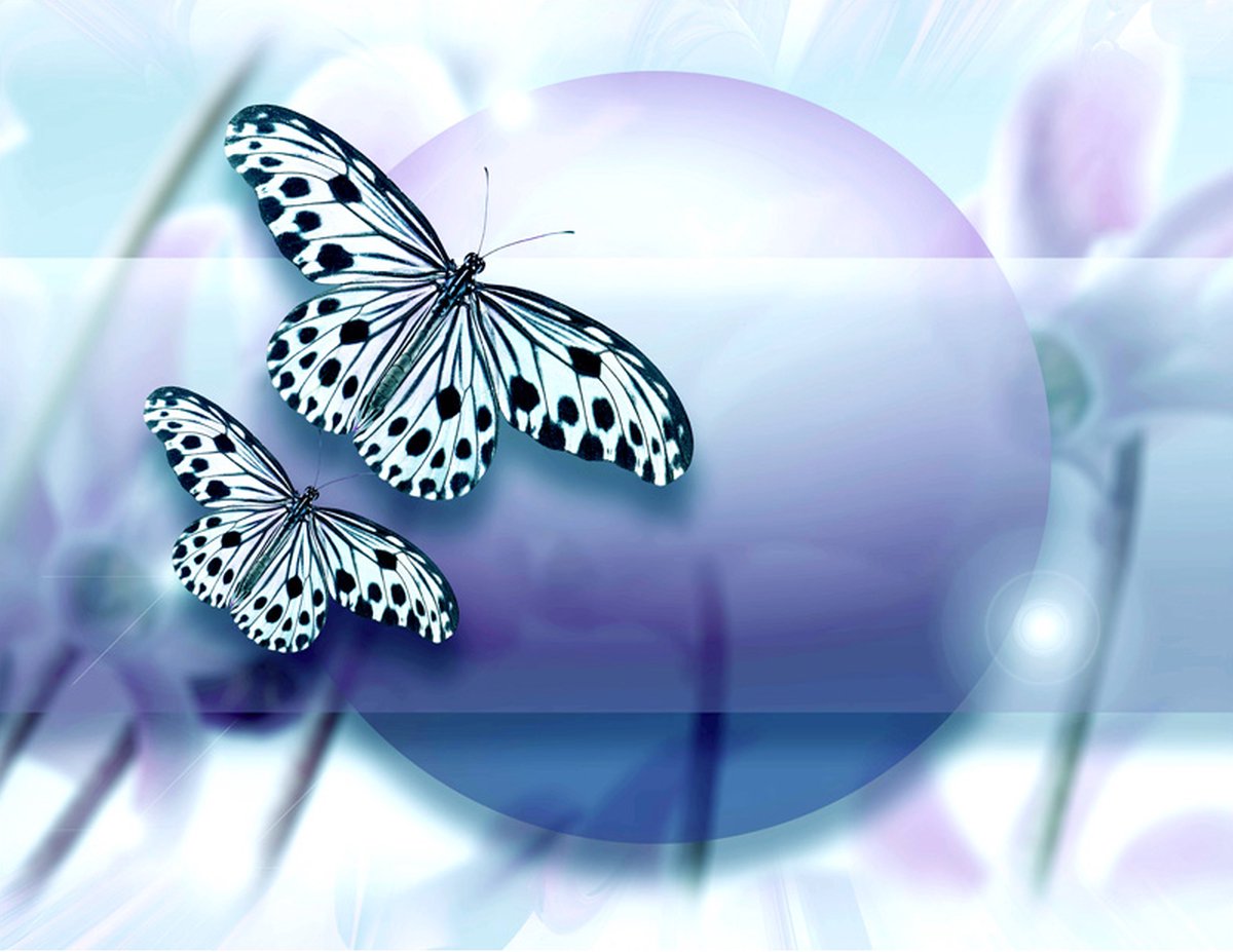 Fotobehang - Planet of butterflies.