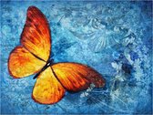Fotobehang - Fiery butterfly.