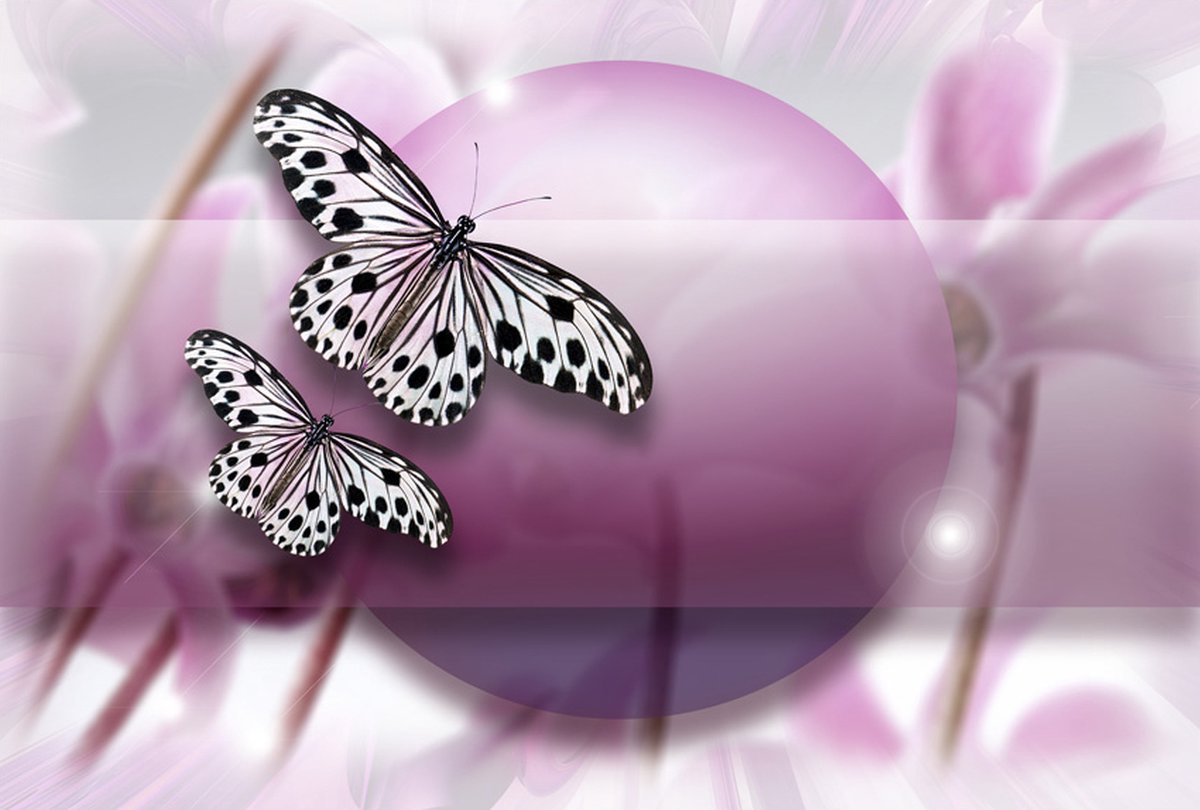Fotobehang - Fly, Butterfly!.