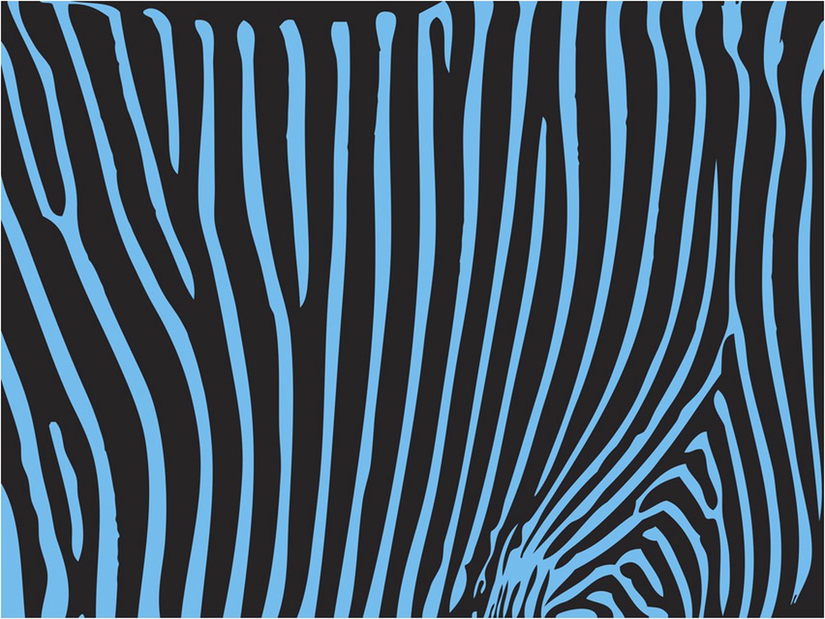 Fotobehang - Zebra pattern (turkoois).