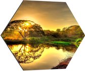 WallClassics - Dibond Hexagon - Natuurlandschap bij Zonsondergang - 60x52.2 cm Foto op Hexagon (Met Ophangsysteem)