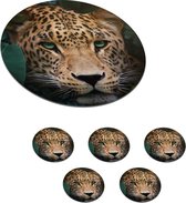 Onderzetters voor glazen - Rond - Jungle - Panter - Wilde dieren - 10x10 cm - Glasonderzetters - 6 stuks