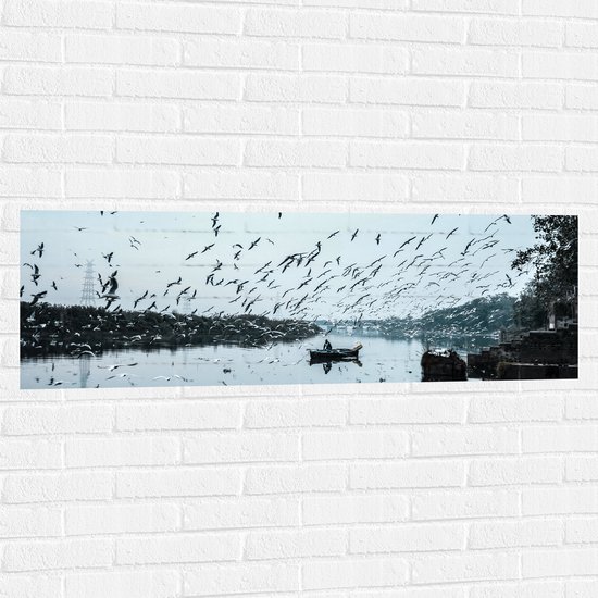WallClassics - Muursticker - Zwerm Vogels bij Visser in Bootje - 120x40 cm Foto op Muursticker