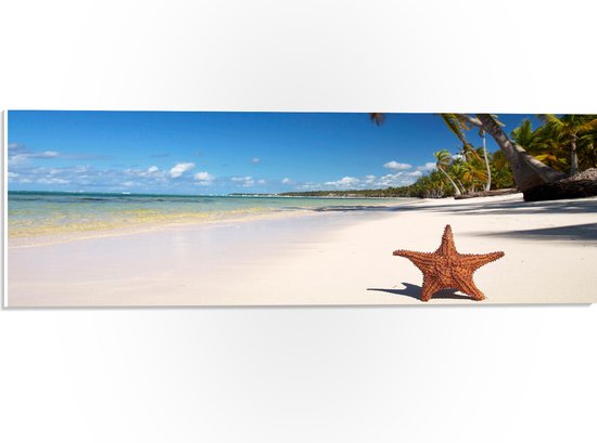 WallClassics - PVC Schuimplaat- Zeester op een Tropisch Strand - 60x20 cm Foto op PVC Schuimplaat