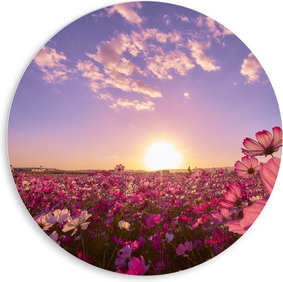 WallClassics - PVC Schuimplaat Muurcirkel - Veld Roze Bloemen met Paarse Lucht - 80x80 cm Foto op Muurcirkel (met ophangsysteem)