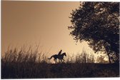 WallClassics - Drapeau - Silhouette d'un Cavalier - 60x40 cm Photo sur Drapeau Polyester