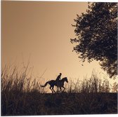 WallClassics - Drapeau - Silhouette d'un Cavalier - 50x50 cm Photo sur Drapeau Polyester