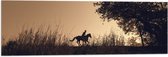 WallClassics - Drapeau - Silhouette d'un Cavalier - 90x30 cm Photo sur Drapeau Polyester