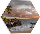 WallClassics - PVC Schuimplaat Hexagon  - Tropisch Strand - 30x26.1 cm Foto op Hexagon (Met Ophangsysteem)
