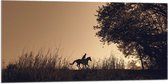 WallClassics - Drapeau - Silhouette d'un Cavalier - 100x50 cm Photo sur Drapeau Polyester