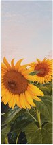 WallClassics - Poster Glossy - Tournesols dans le Champ - 30x90 cm Photo sur Papier Poster avec Finition Brillante
