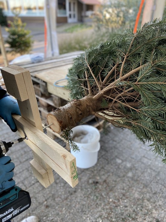 Nordmann kerstboom GROOT MET KRUIS 180/210CM geschikt voor buiten